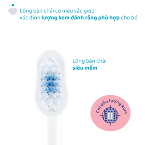 Bàn chải đánh răng Hà mã hồng Chicco 3-6Y 7 Ban Chai Danh Rang Ha Ma Hong Chicco 3 6y 2