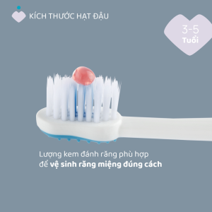 Bàn chải đánh răng Hổ xanh Chicco 3-6Y 9 Ban Chai Danh Rang Ho Xanh Chicco 3 6y 3