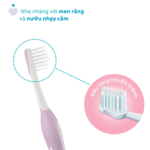 Ban Chai Danh Rang Tim Hong Chicco 6 36m 2