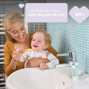 Ban Chai Danh Rang Xanh Bien Chicco 6 36m 2