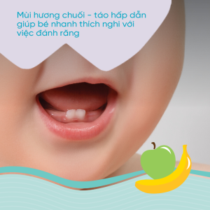 Kem Danh Rang Huong Chicco Chuoi Tao 6m 50ml Moi 4