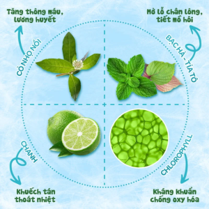 Khan Ha Sot Dr Papie 0+ 4