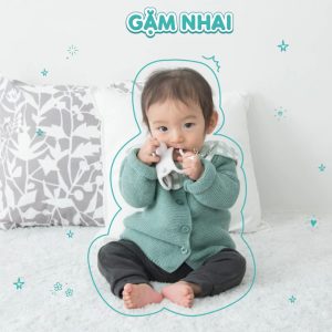 Richell Gặm nướu đồ chơi silicone 9 2