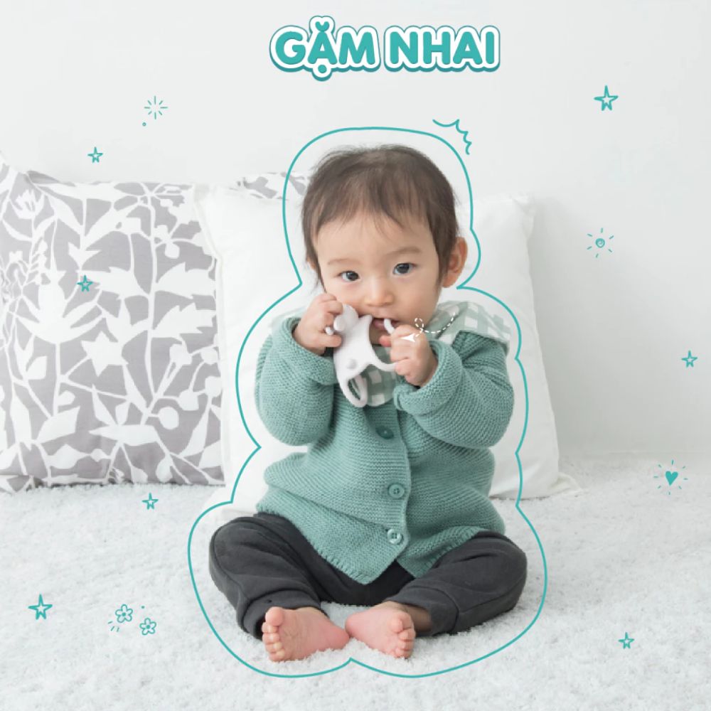 Richell Gặm nướu đồ chơi silicone 6 2