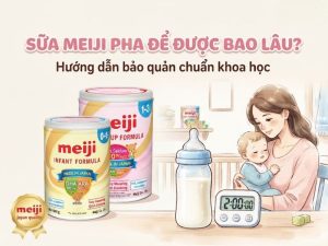 Sua Meiji Pha De Duoc Bao Lau