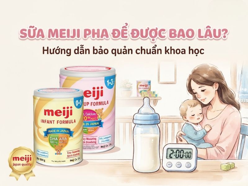 Sua Meiji Pha De Duoc Bao Lau