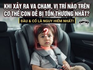 Khi Xay Ra Va Cham Vi Tri Nao Tren Co The Con De Bi Ton Thuong Nhat 1